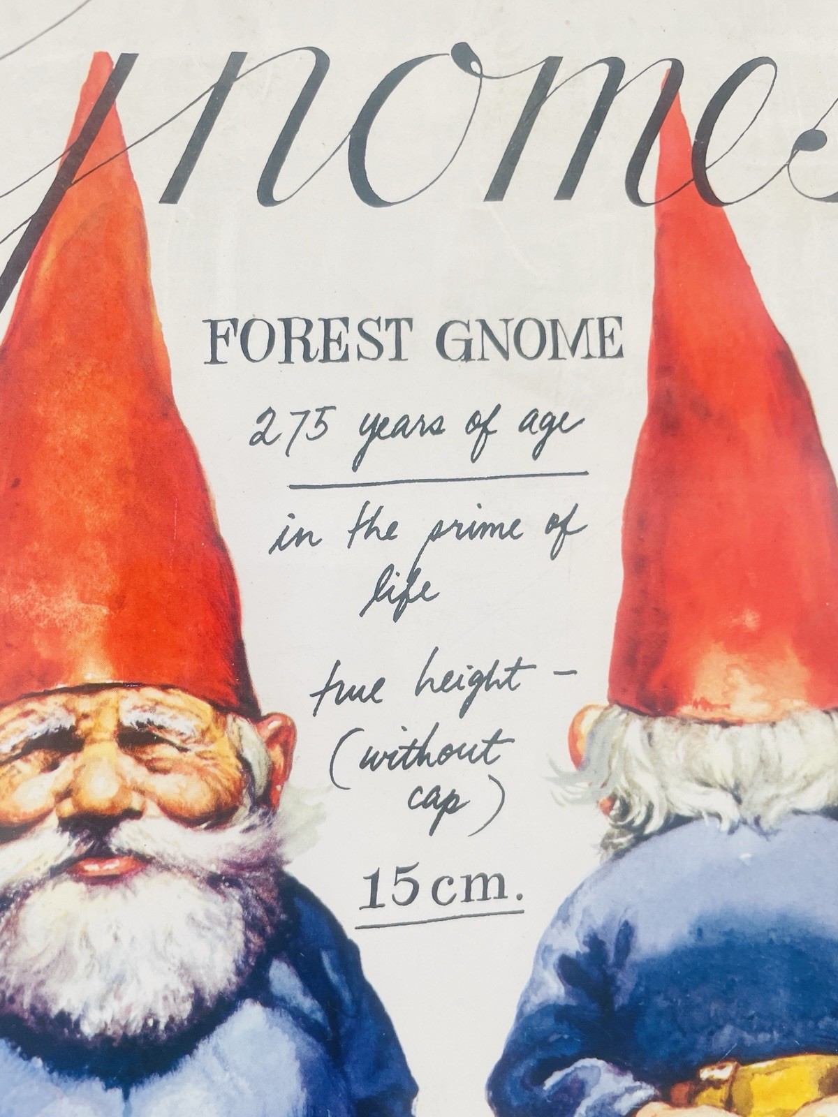 Gnomes by Wil Huygen 1979 Vintage 1st Edition Illustrated Paperback Book 12×8.25