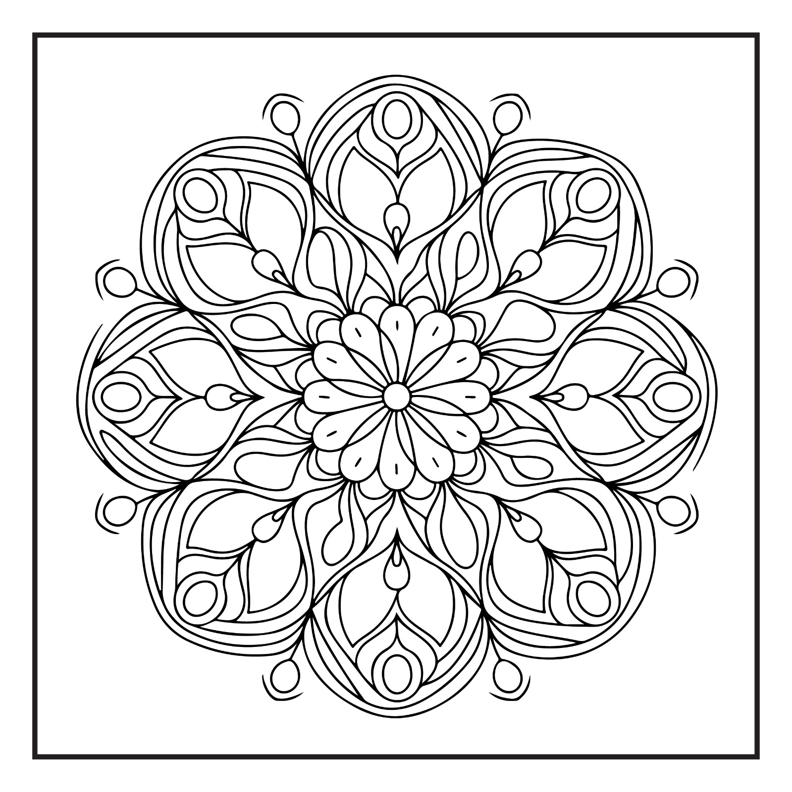 Rockridge Press Mindfulness Mandalas Coloring Book Spiral Bound Coloring Book