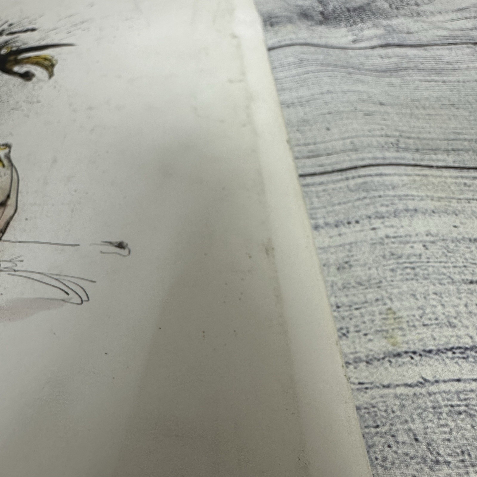 Extinct Boids by Ralph Steadman: Used