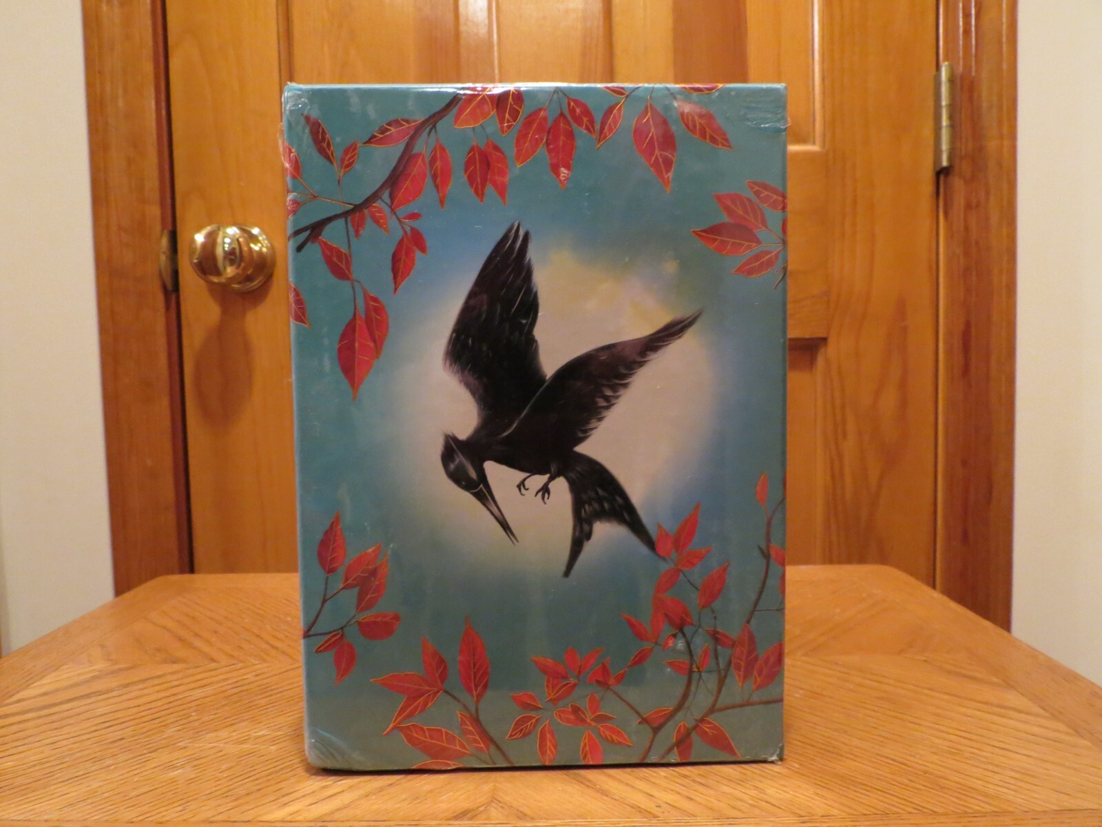 The Hunger Games Deluxe UK Collection by Suzanne Collins – 4 Book Set