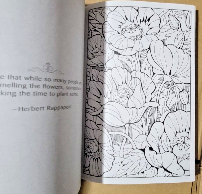 FLYING COLORS – Let Your Imagination Take Flight!- Vol. 23 -Adult Coloring Book