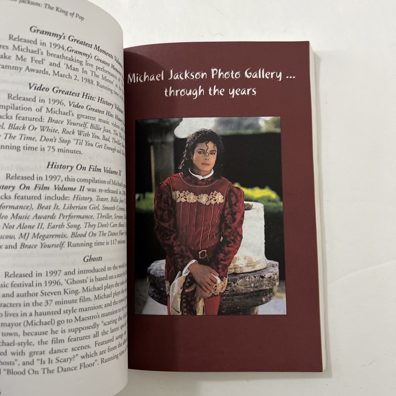 Michael Jackson: The King of Pop An Anthology by Jel D. Lewis (Jones) Paperback