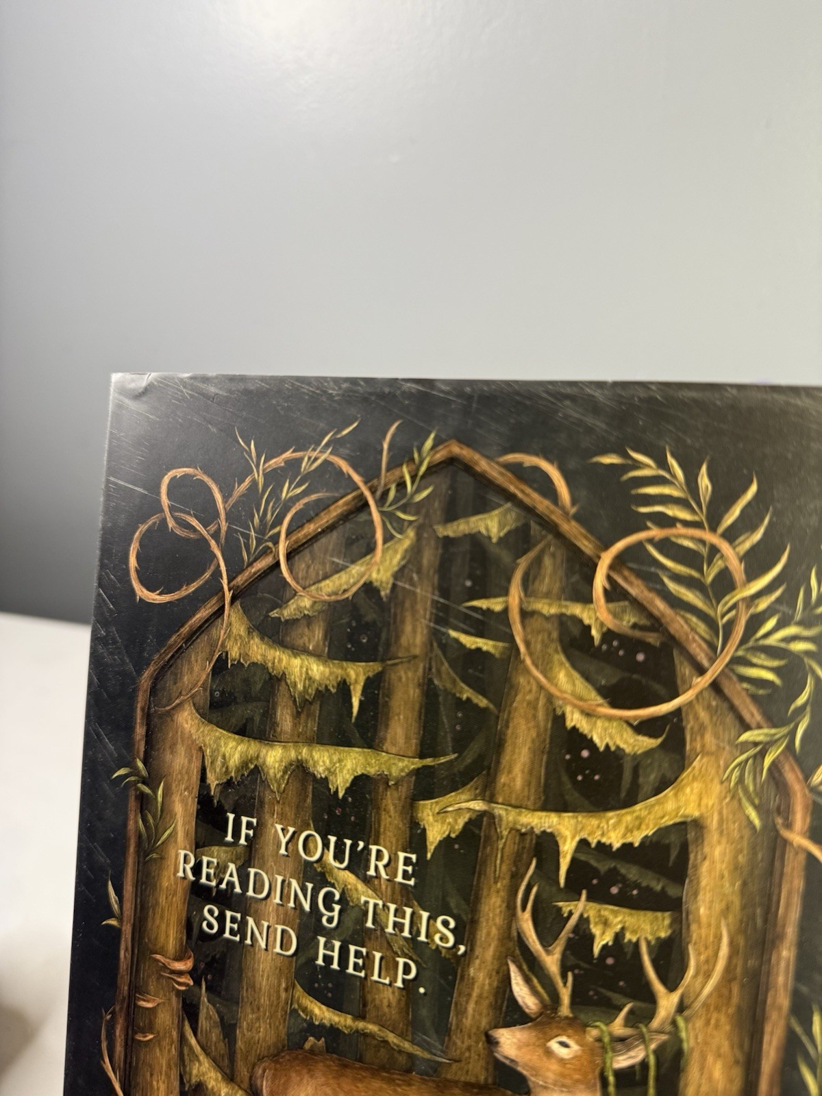 What The Woods Took Book by Courtney Gould OwlCrate Signed Edition Sprayed Edges