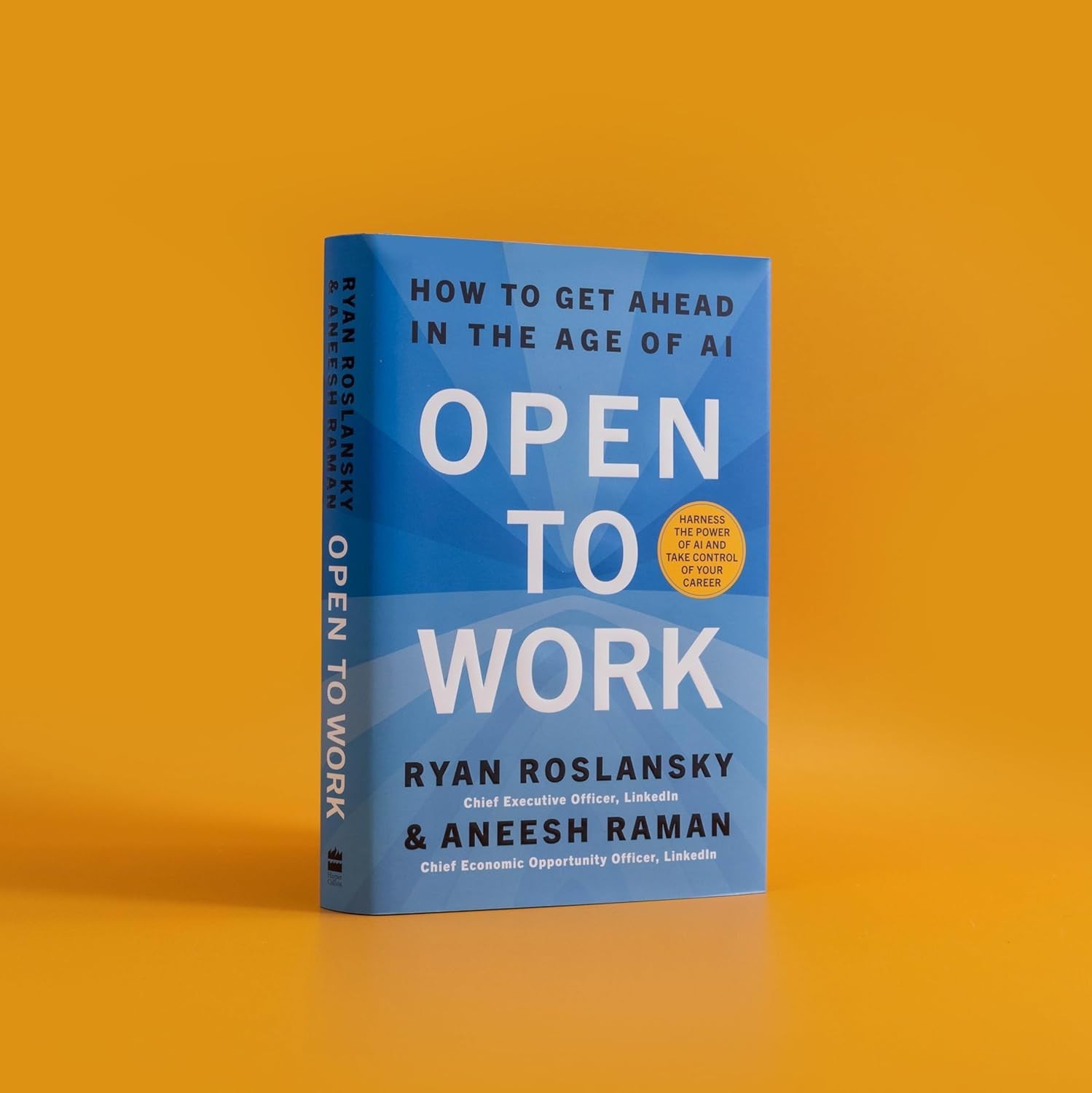 Open to Work: How to Get Ahead in the Age of Ai Hardcover