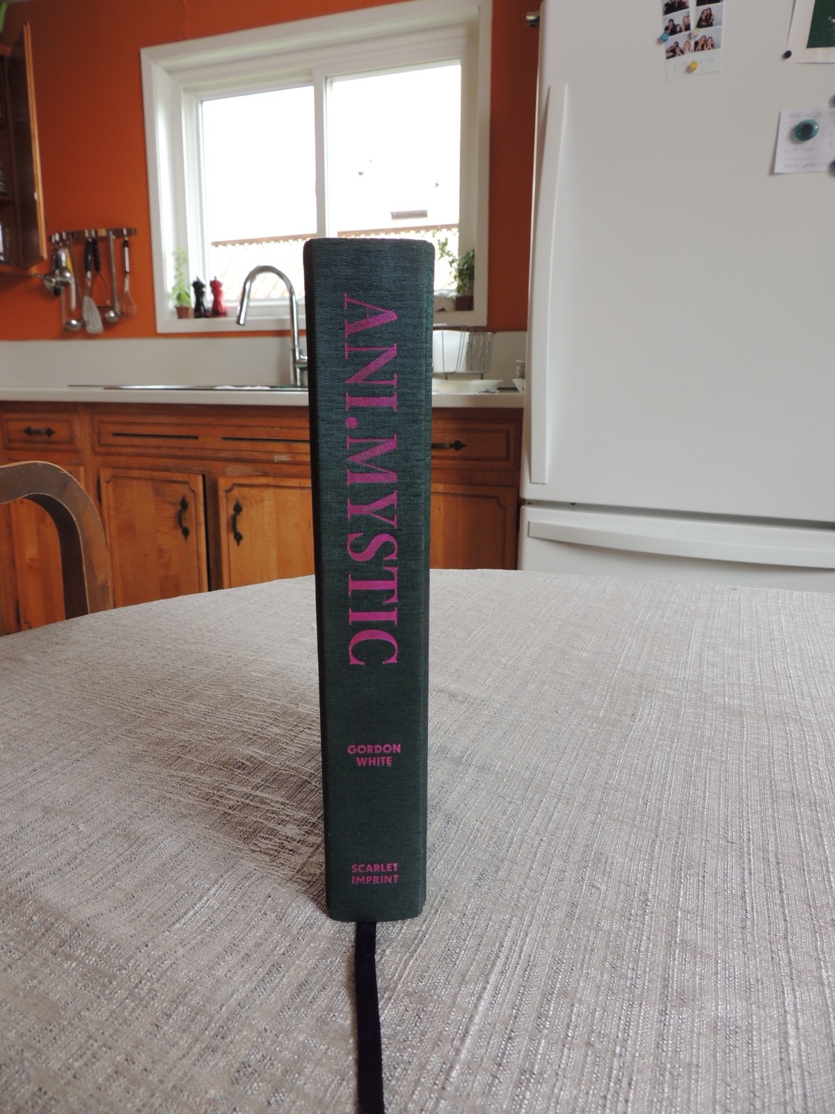 Gordon White Ani.Mystic Encounters With A Living Cosmos Scarlet Imprint Ltd/900