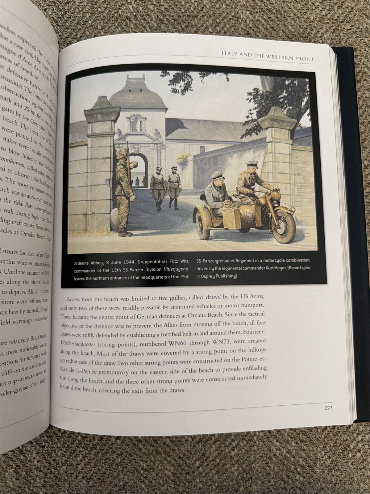 Hitler’s Armies: A History Of The German War Machine 1939-1945, By Chris McNab