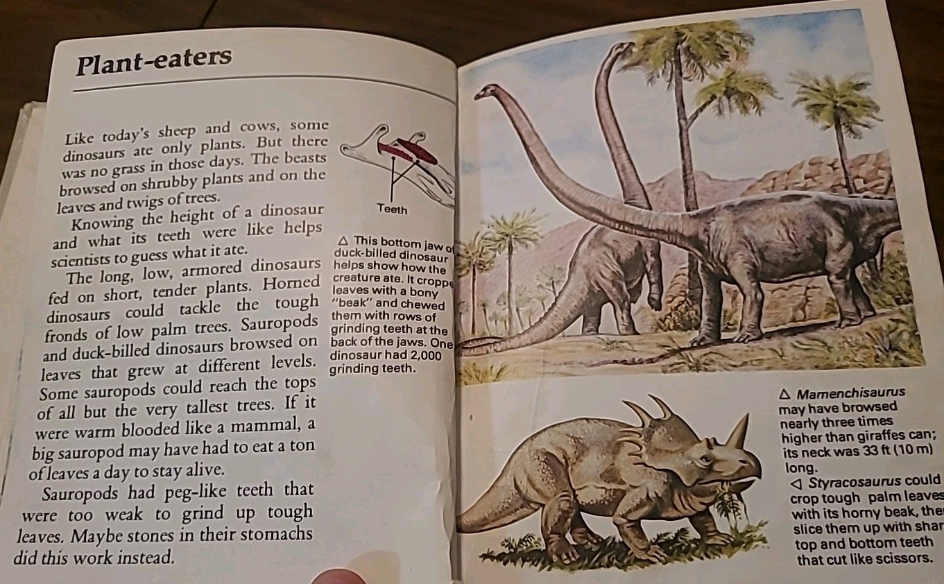 Dinosaurs by David Lambert and L. B Halstead (1983, Hardcover)VTG RARE