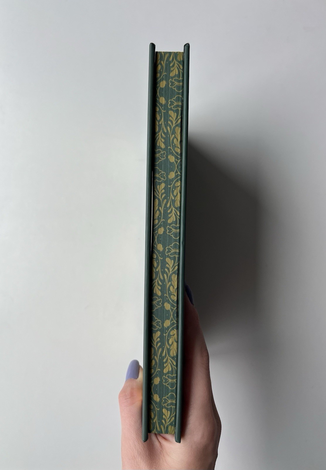 TheBookishBox – Wretched + Twisted by Emily McIntire