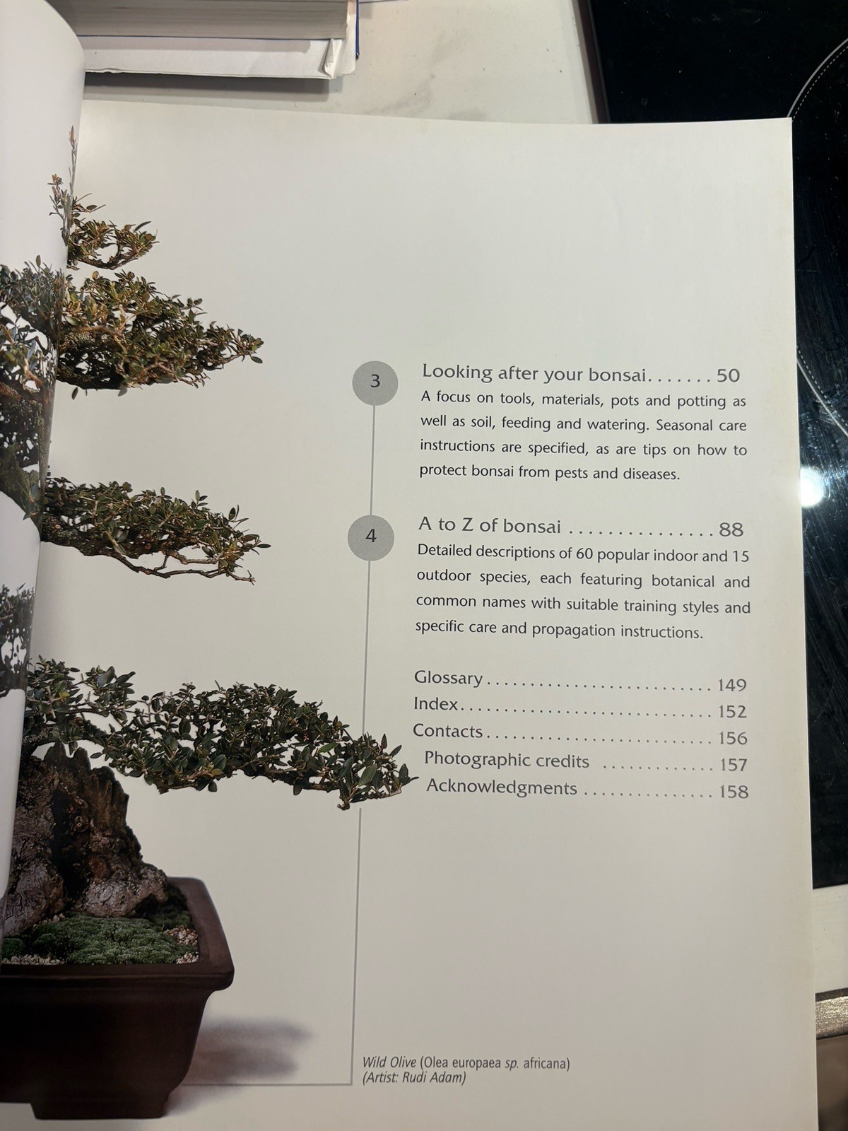 Successful Bonsai, By David Squire