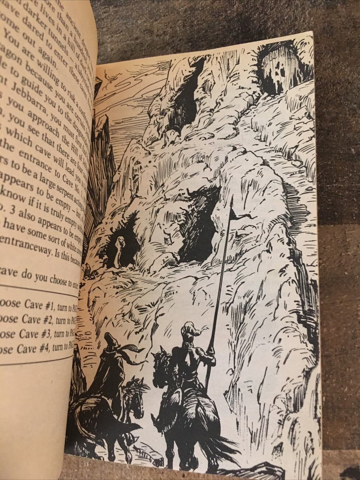 Wizards, Warriors & You #2: The Siege of the DragonRiders CYOA Gamebook 1984