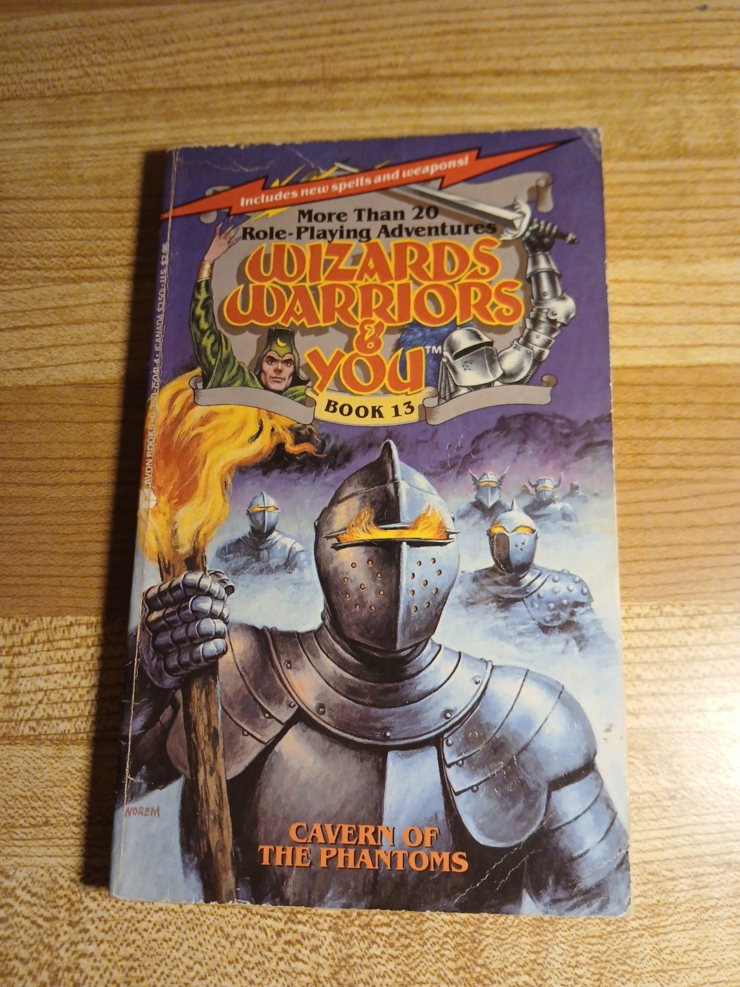 Wizards Warriors & You Book 13 Cavern Of The Phantoms By R. L. Stine CYOA