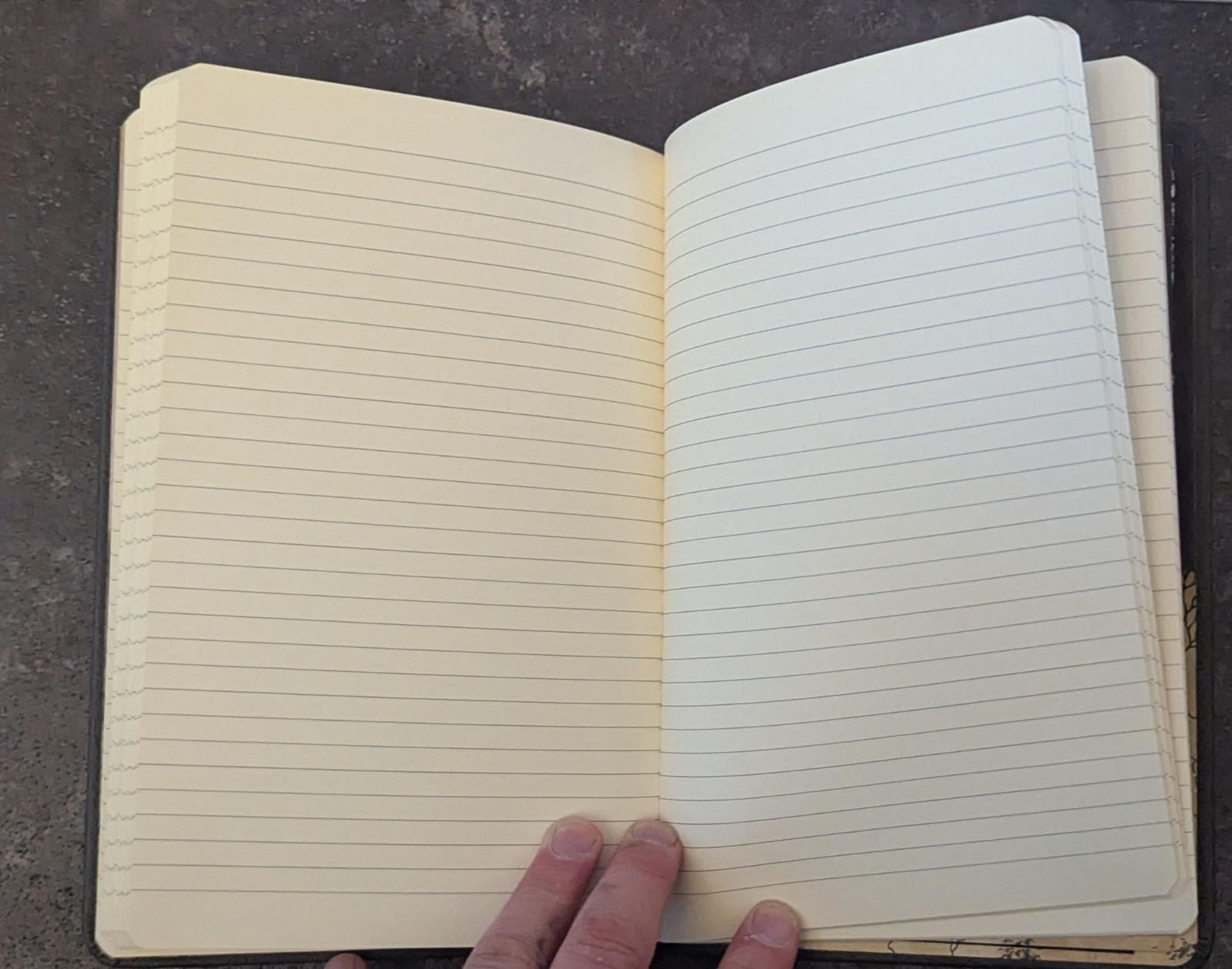 Game of Thrones Ruled Journal: Hardcover by Insights, 192 pages, Unused