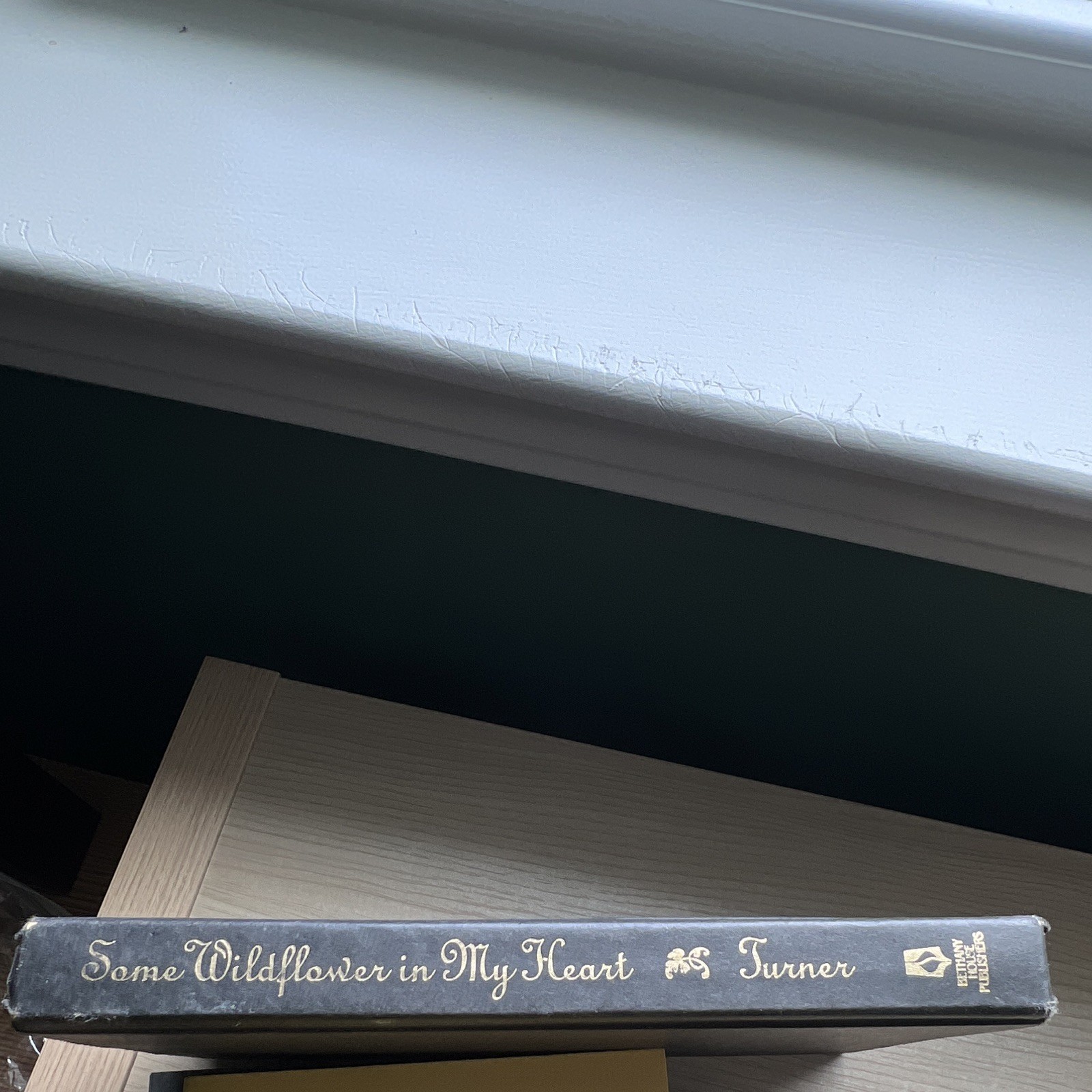 Jamie Langston Turner Some Wildflower in My Heart Hardcover Fiction Bethany 1998