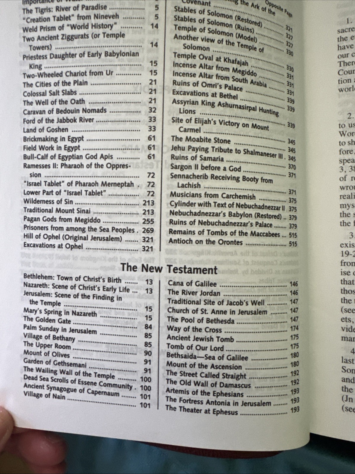 The New American Bible Saint Joseph Edition, Large Type, Illustrated 1992
