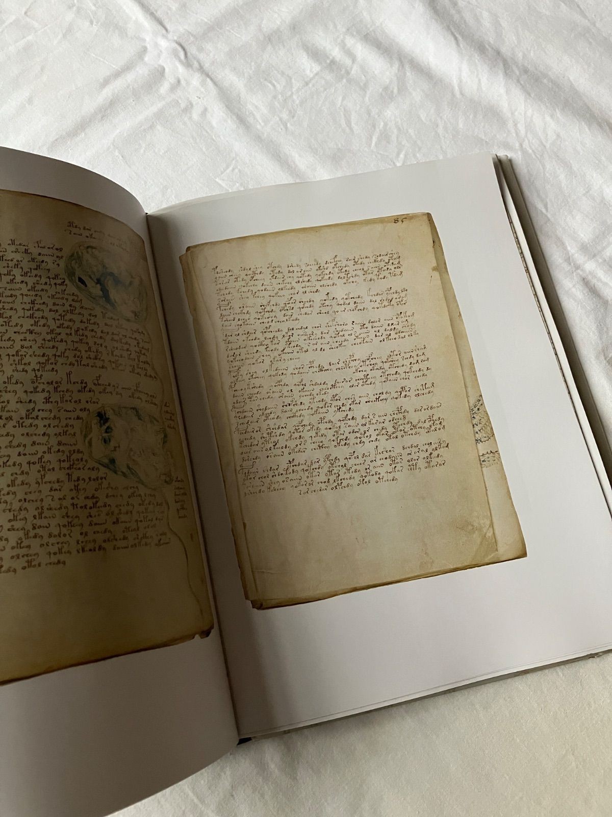 Voynich Manuscript Facsimile 1912 Yale Univ Press 31x24cm Used