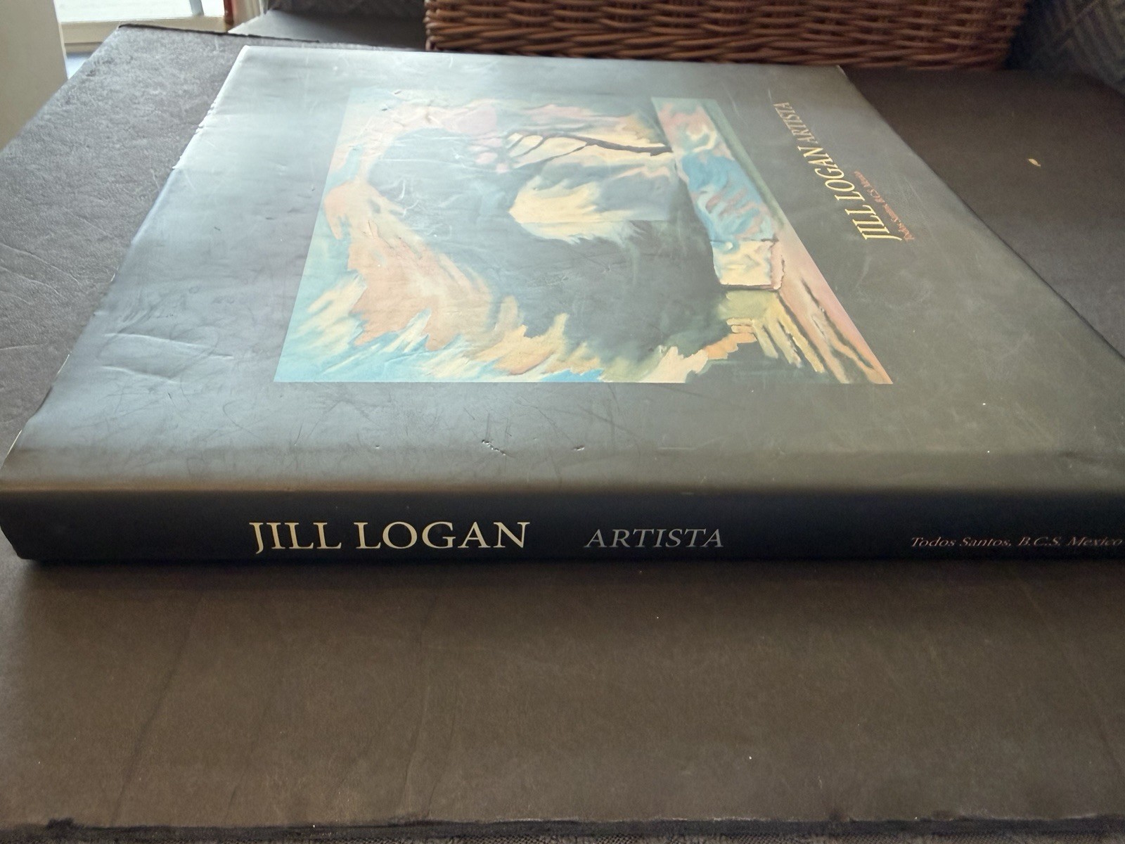 OOP SIGNED 1st/1st Jill Logan Artista Jill Logan HC DJ 2011 Art Painting Book