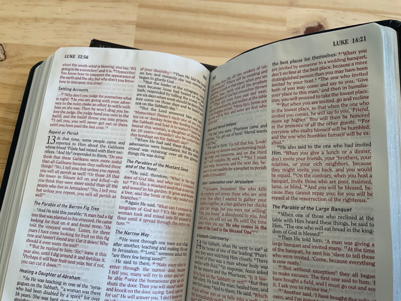 HCSB EMS Bible 2004 Holman Blue Simulated Leather
