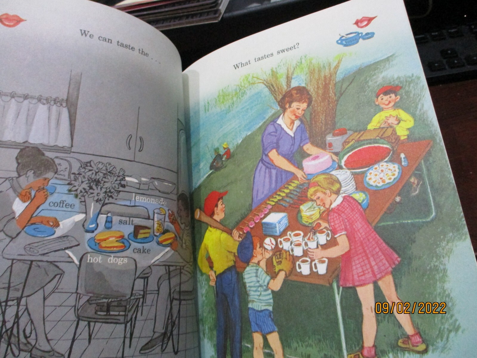 THE FIVE SENSES Benefic Press Reader Like Dick Jane Freestrom Osterberger Blackm