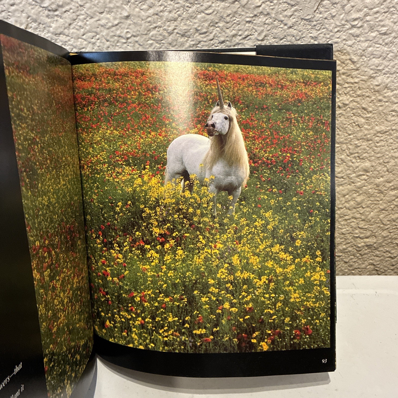 Signed Robert Vavra Unicorn Book Unicorns I Have Known w/ Grey Horses HCDJ VGUC