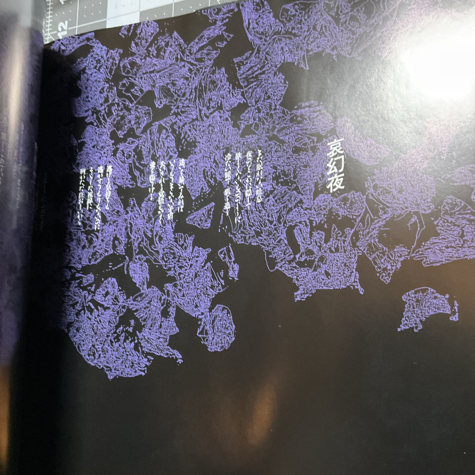 Zodiac Shueisha, 1991 Japanese Graphic Art Book Anime Manga Vintage