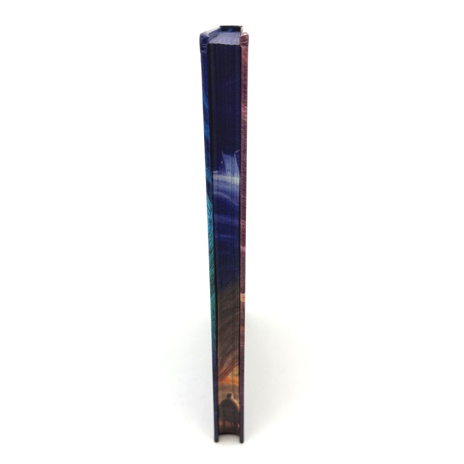 LitJoy Neil Gaiman The Ocean at the End of the Lane Special Edition UNSIGNED