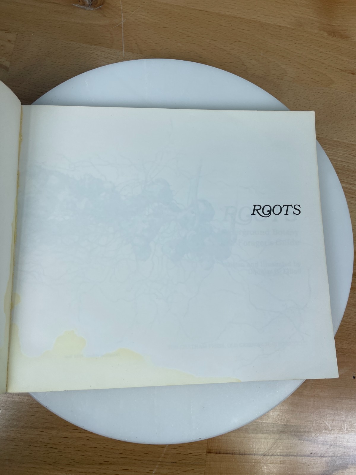 Roots Underground Botany Forager Guide Douglas B Elliott Vintage PB 1979