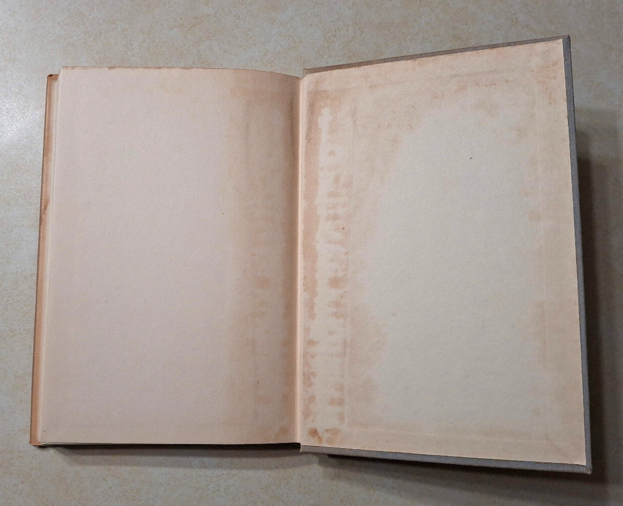 The Loved One Evelyn Waugh 1948 First American Edition 1st Print Hardcover DJ