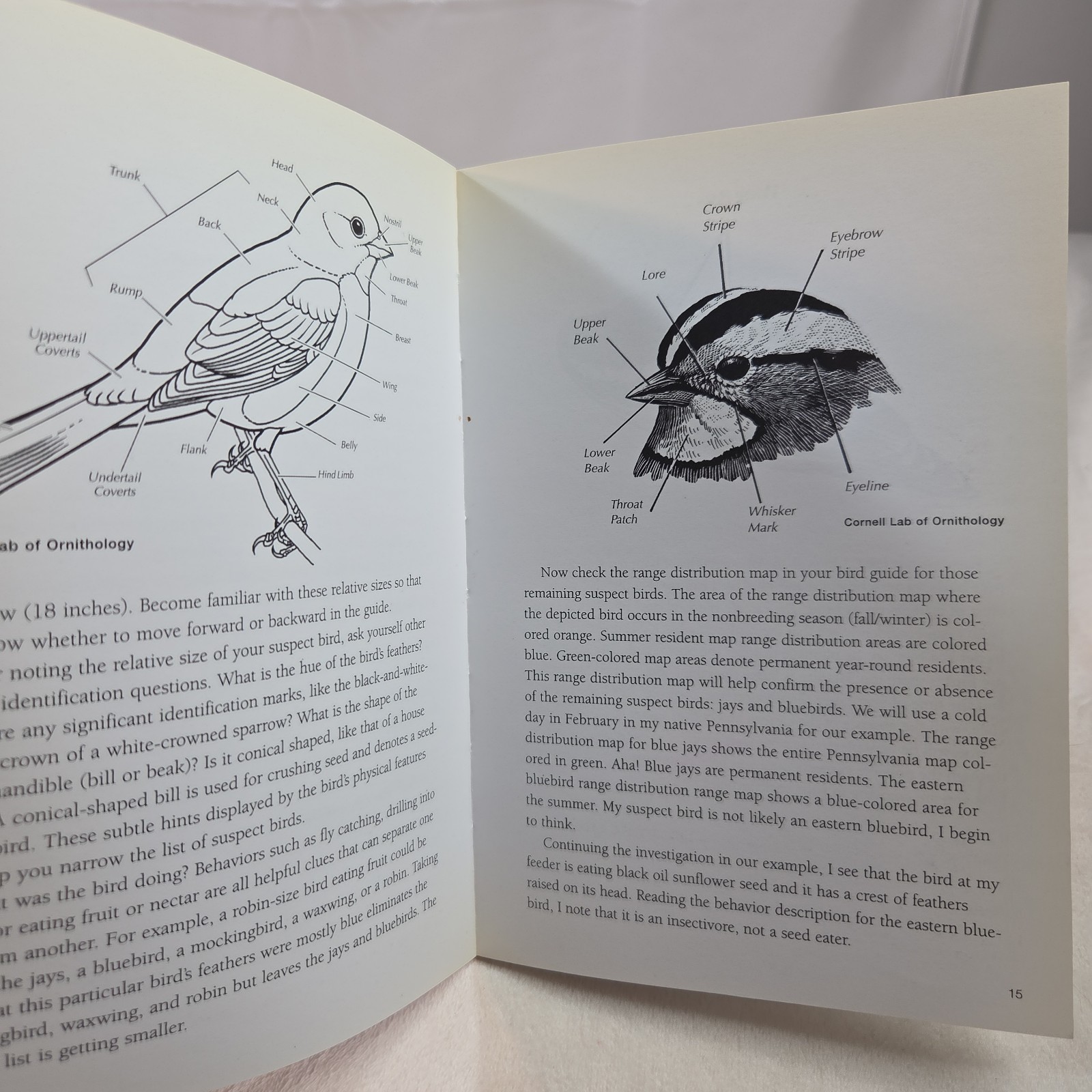 Backyard Birds of Virginia : How to Identify and Attract the Top 25 Fenimore PB