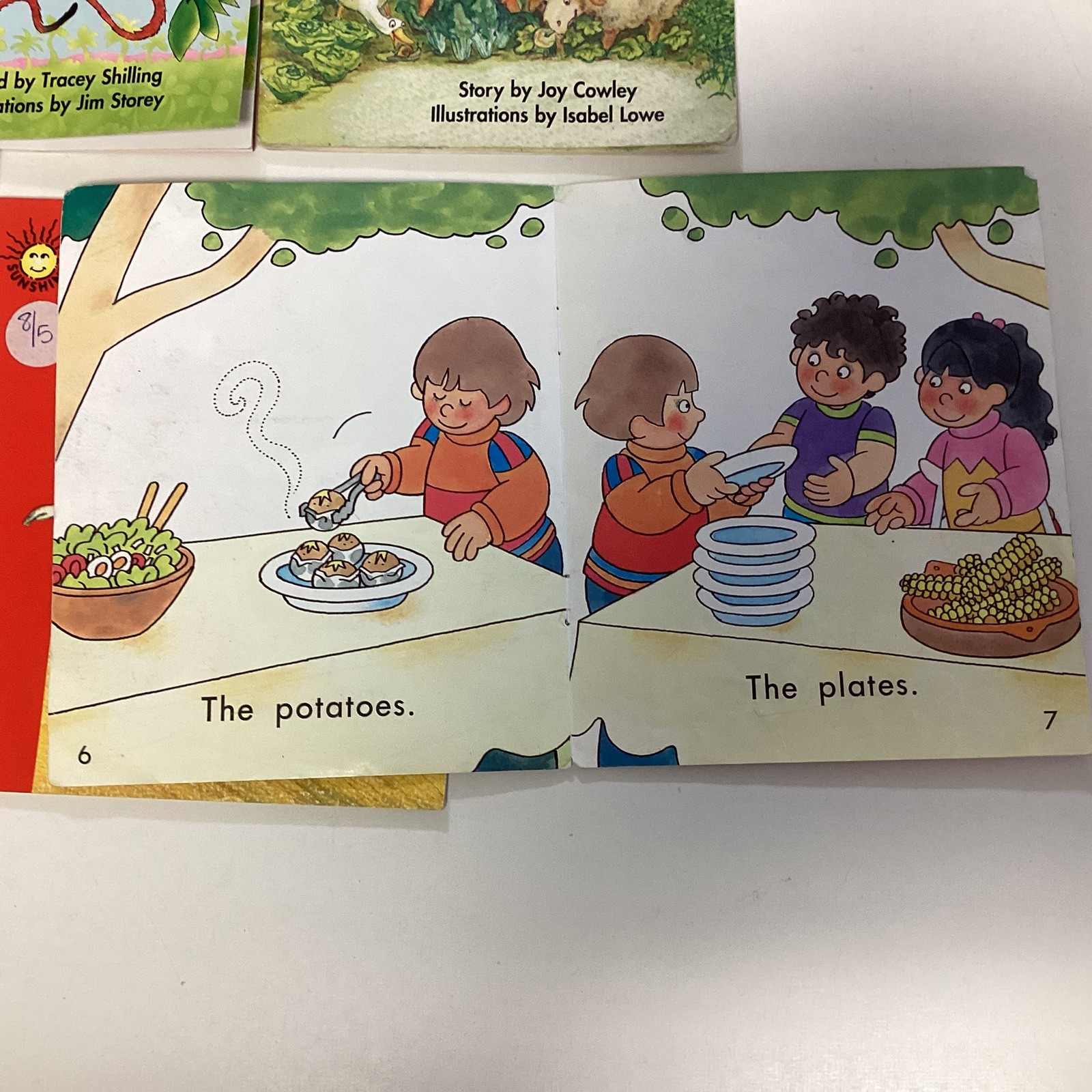 Sunshine Kindergarten Reader 10 Book Lot Level A-C Rigby Wright