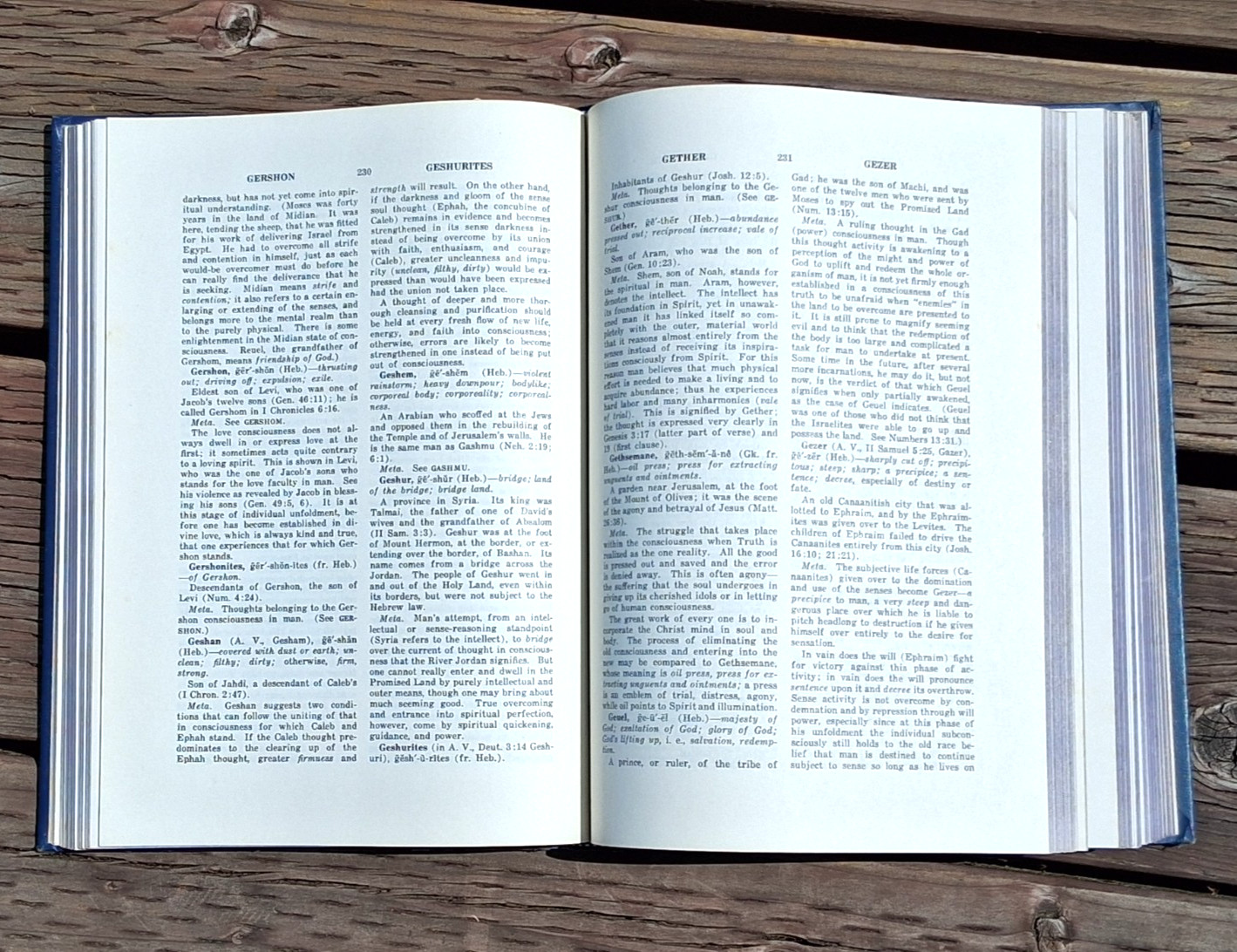 Metaphysical Bible Dictionary Unity School of Christianity Hardcover Pub 1931 MO