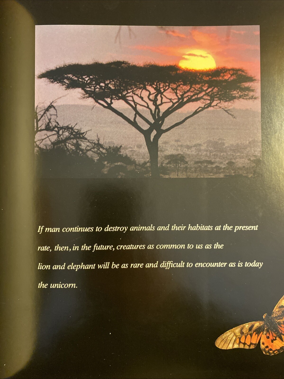 The Unicorn of Kilimanjaro by Robert Vavra 1988 1st Edition Hardcover