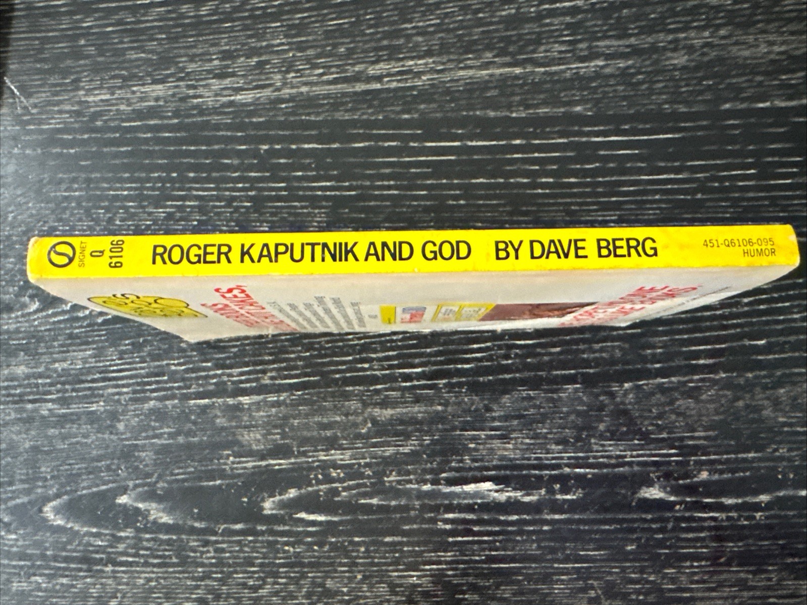 Roger Kaputnik and God by Dave Berg 1974 1st Ed. PB/Illust 158 Pages PO-VG+