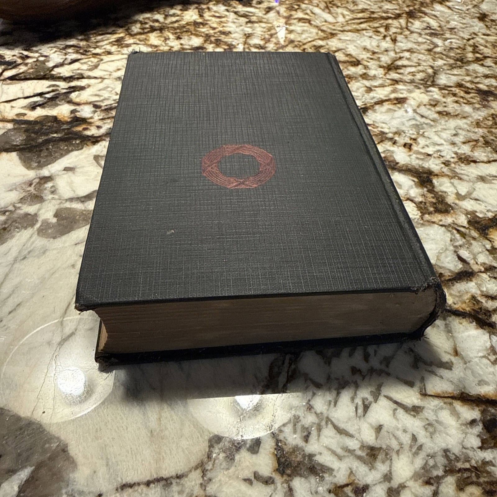 1927 The Life of Pastor Rene Gallery-Radot Hardcover Garden City Publishing Bio