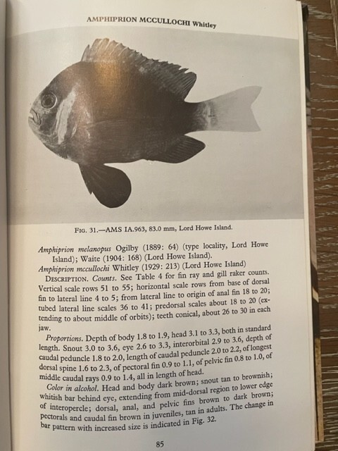 THE ANEMONEFISHES: THEIR CLASSIFICATION AND BIOLOGY By Gerald R. Allen , 1972