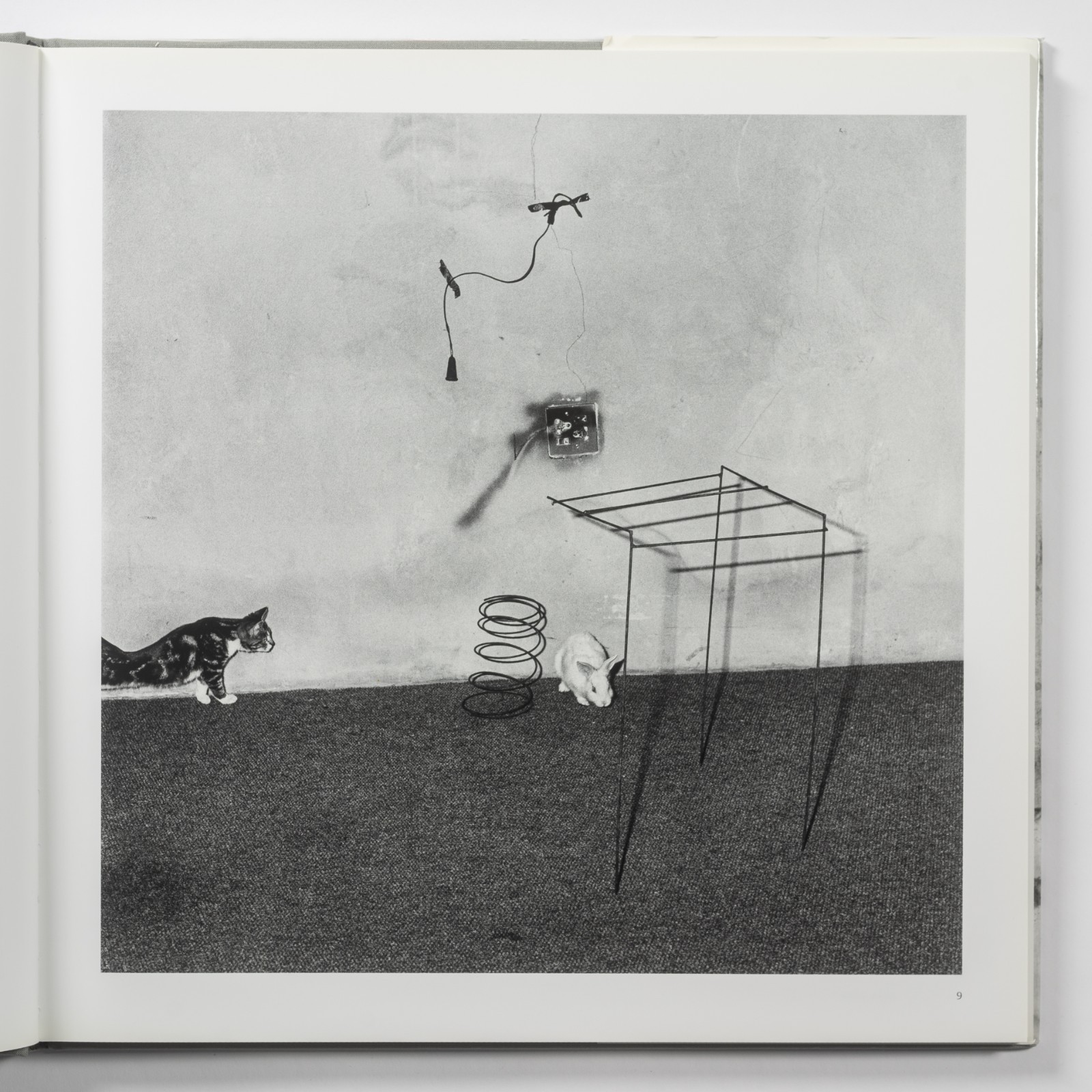 Roger Ballen – Animal Abstraction – SIGNED – Relfex Editions 2012