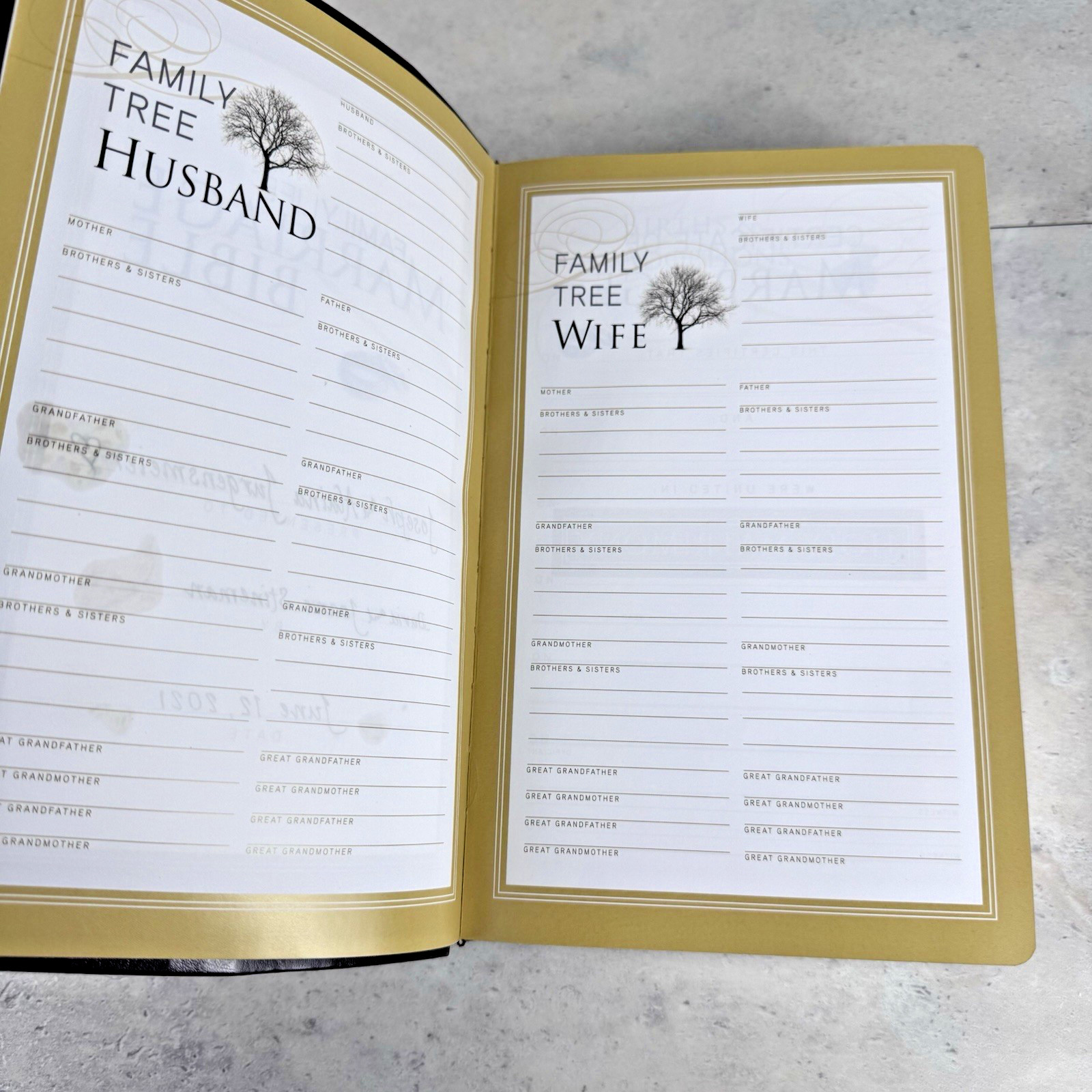 Family Life Marriage Bible NKJV Dennis & Barbara Rainey Holy Box Devotions