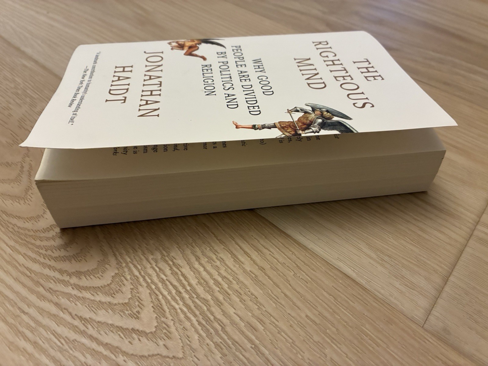 The Righteous Mind Jonathan Haidt Paperback