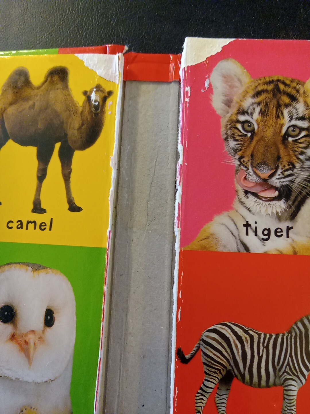 First 100 Animals Board book Pre-owned Inside Spine Damage