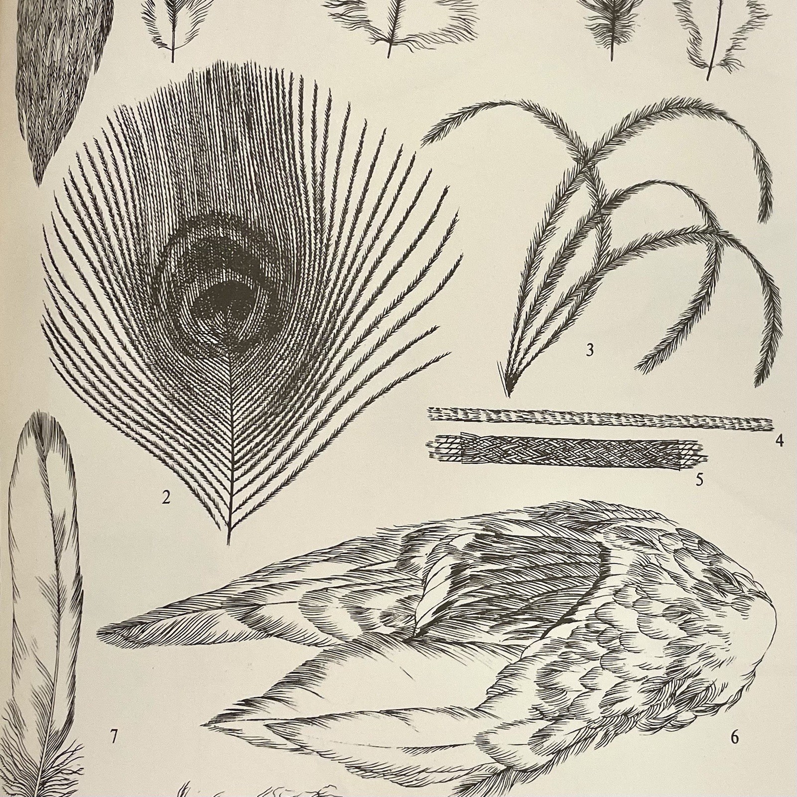 ‘The Lore of Sportfishing’ by Tre Tryckare, E. Cagner; 1976 First U.S. Edition