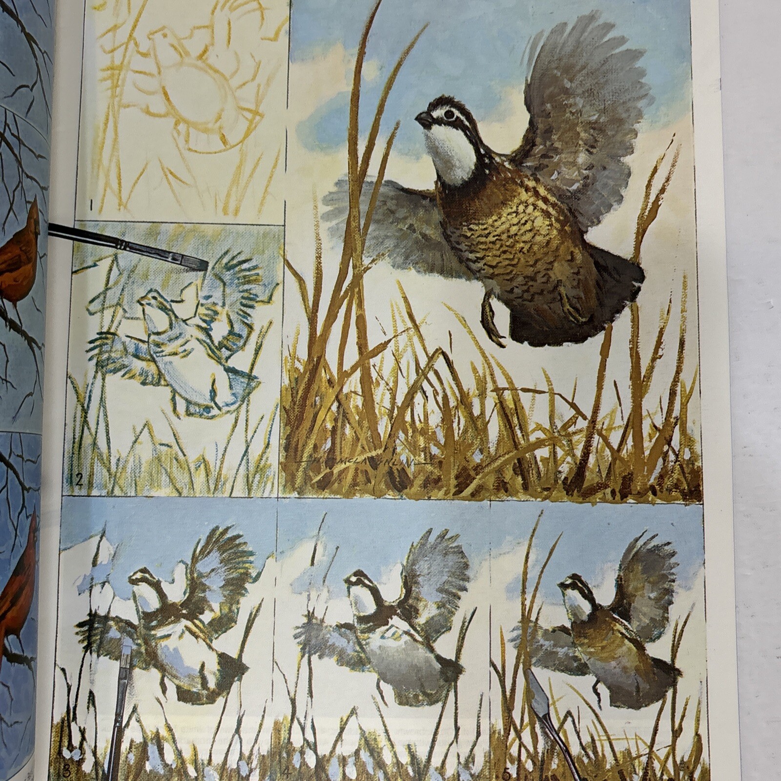 Lot of 5 – How to Paint Magazines by Walter T. Foster (Vintage)