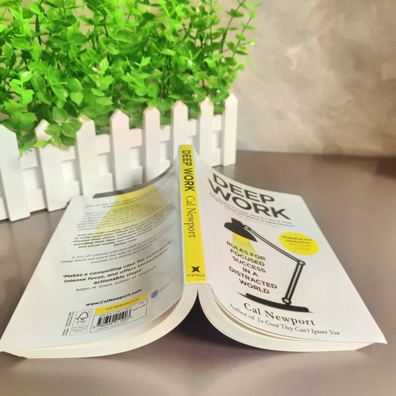 Deep Work English Book By Cal Newport Rules for Focused Success In A Distracted
