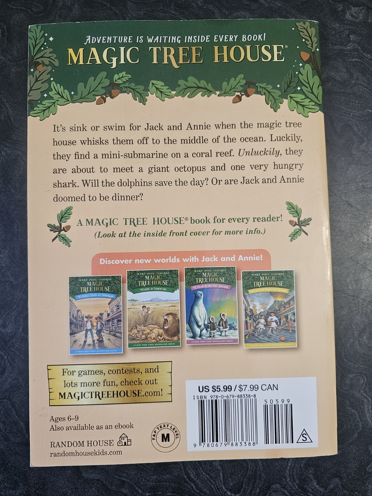 Dolphins at Daybreak by Mary Pope Osborne (1997, Trade Paperback)