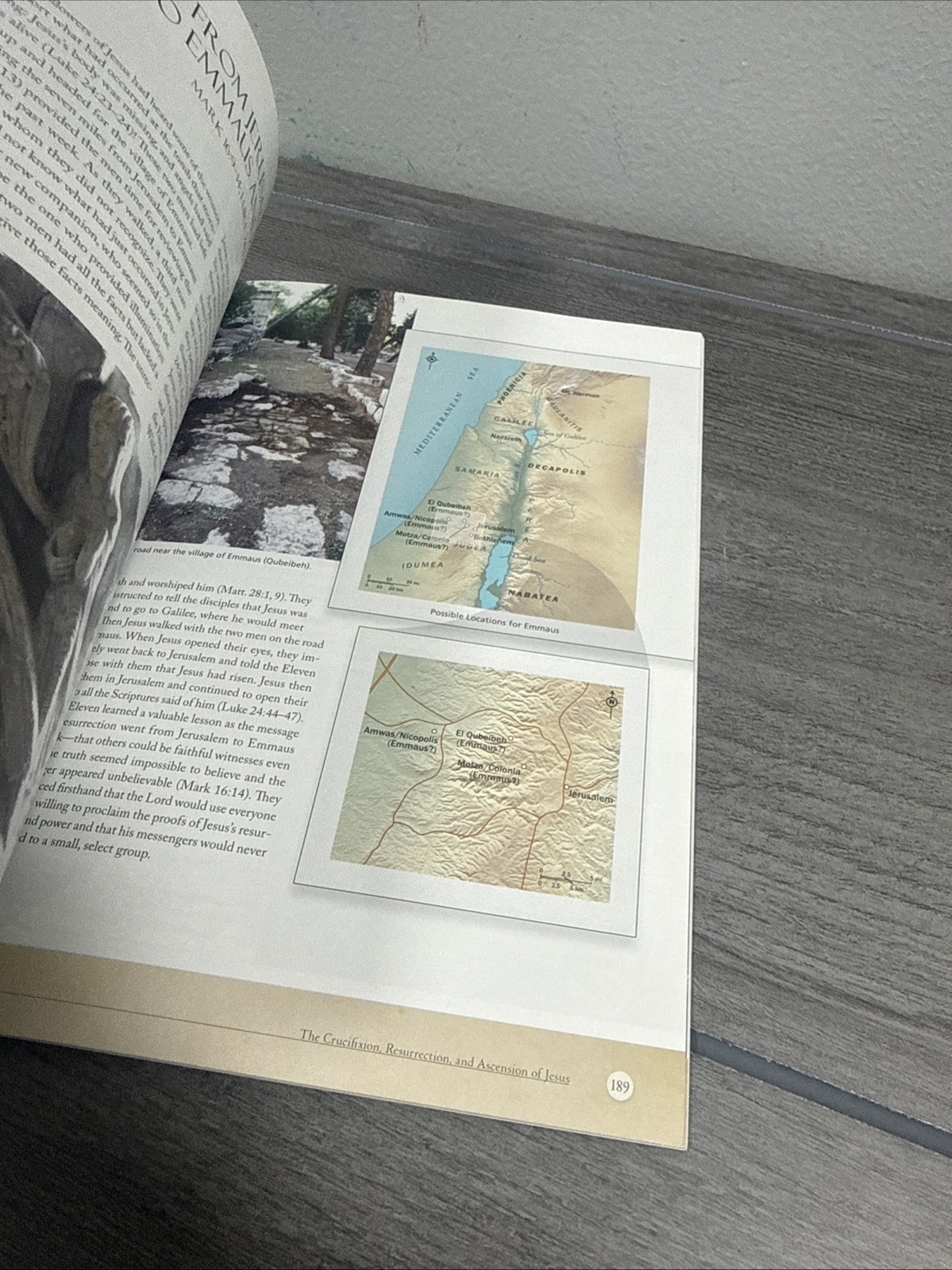 A VISUAL GUIDE TO GOSPEL EVENTS: FASCINATING INSIGHTS INTO By James C. Martin