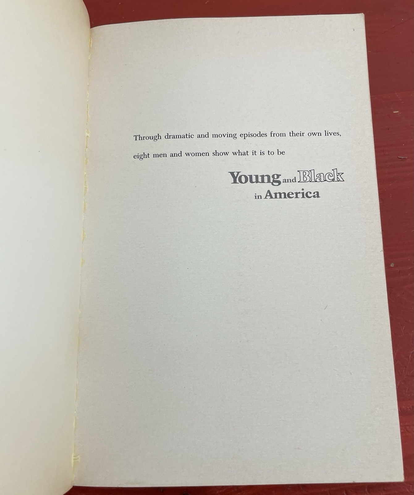 Young and Black in America by Rae Pace Alexander 1973 Malcolm X, Richard Wright