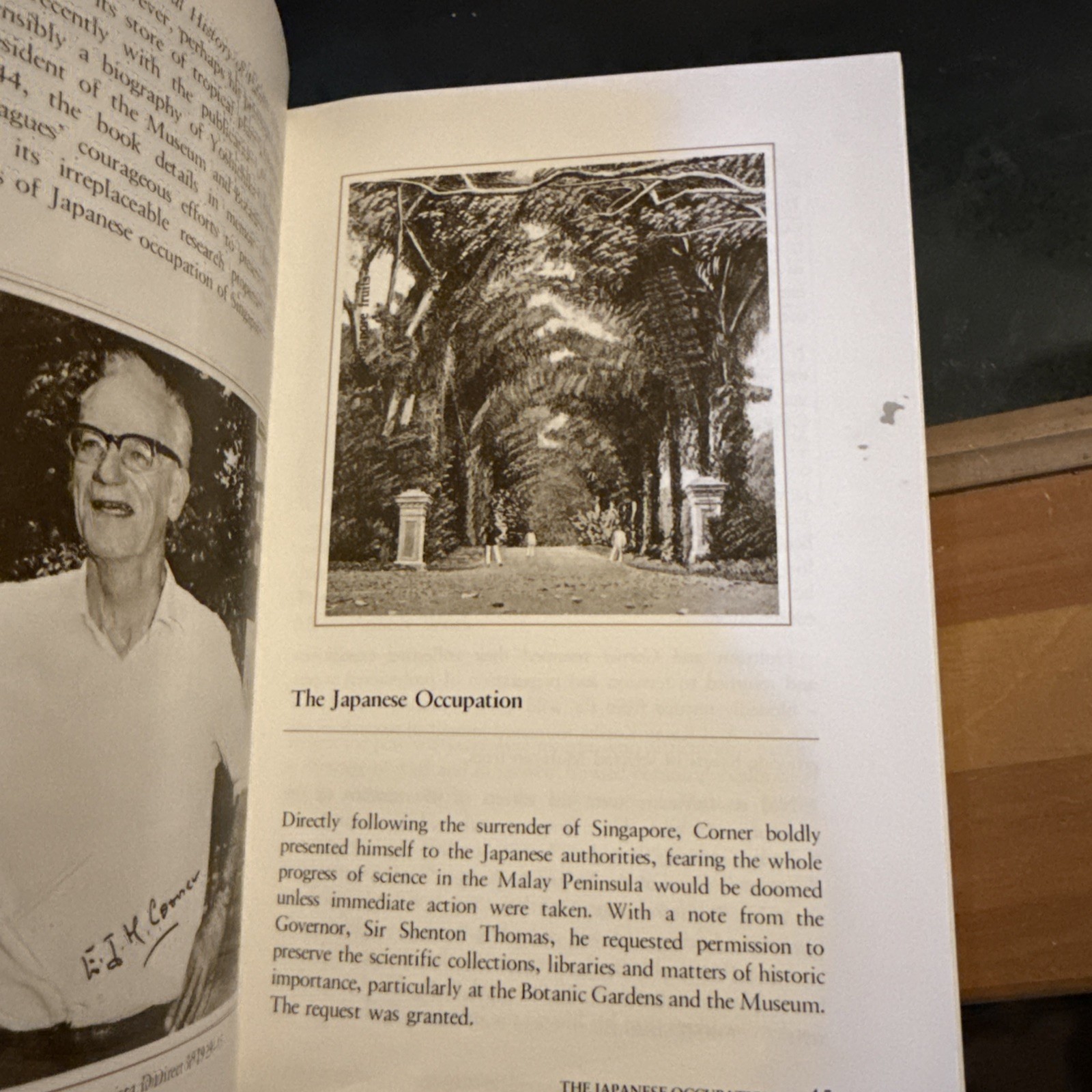 Singapore green: A history and guide to the Botanic Gardens by Tinsley, Bonnie