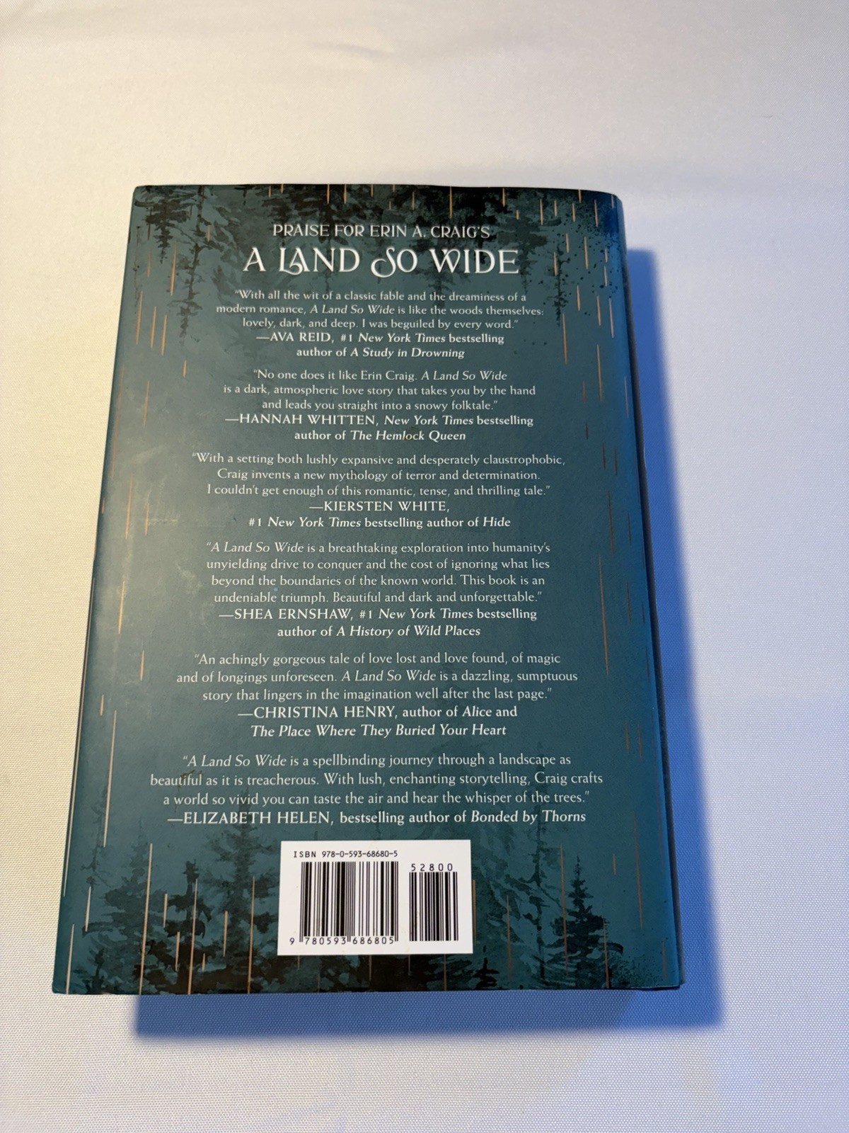 A Land So Wide : A Novel by Erin A. Craig (2025, Hardcover)