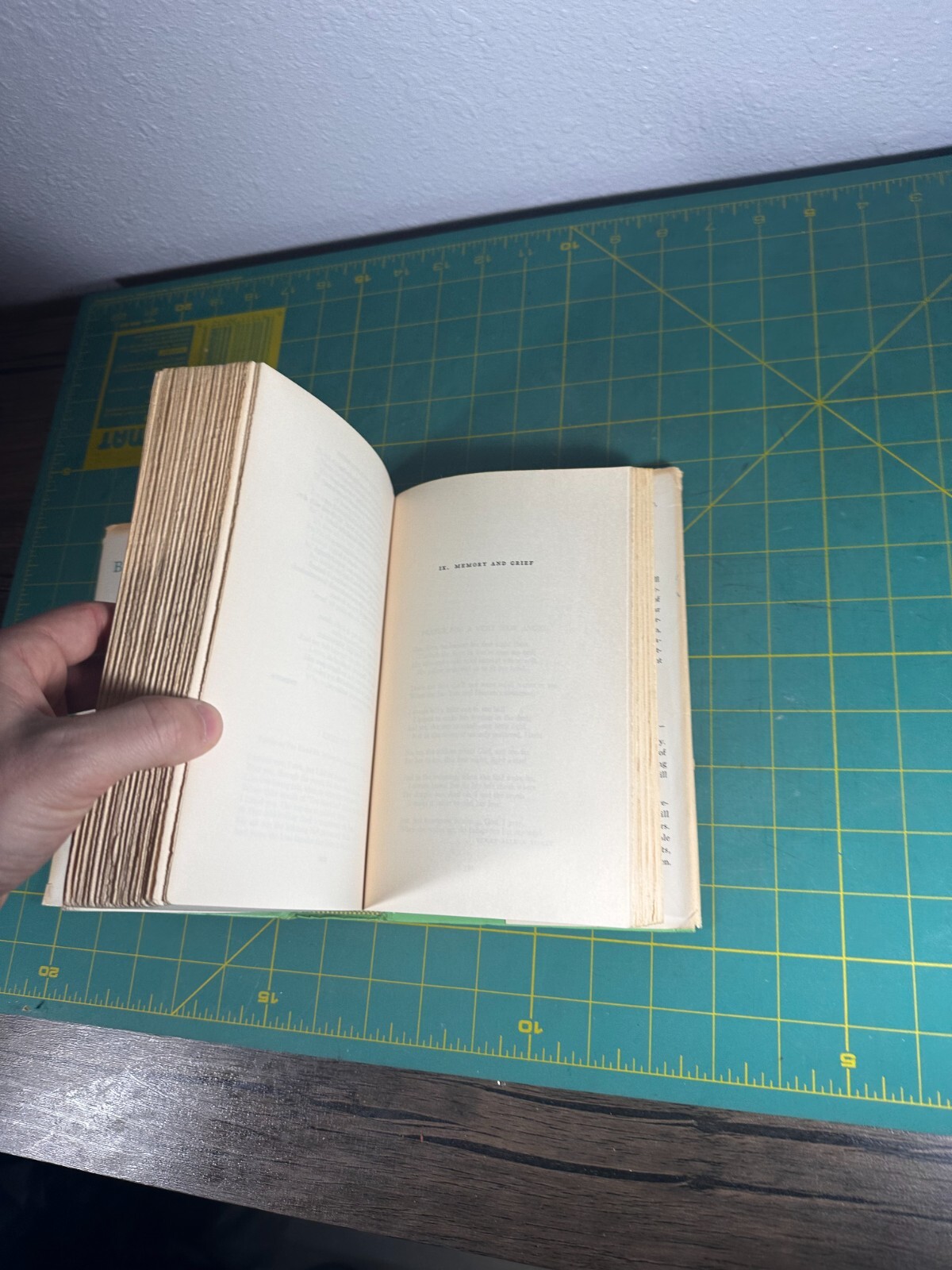 Best Loved Poems of the American People Hardcover Hazel Felleman