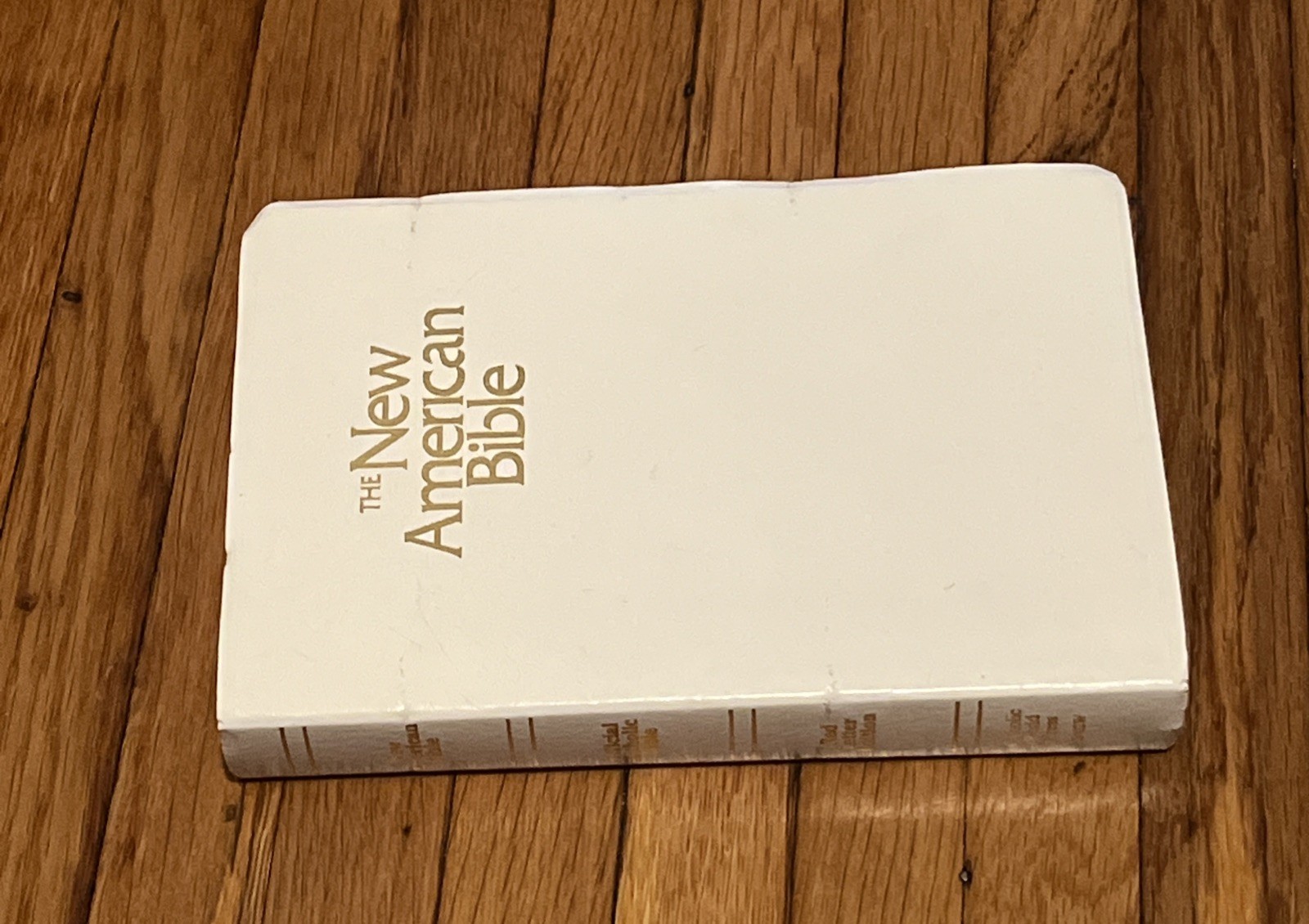 The New American Bible Catholic World Press Red Letter Edition 1991 White