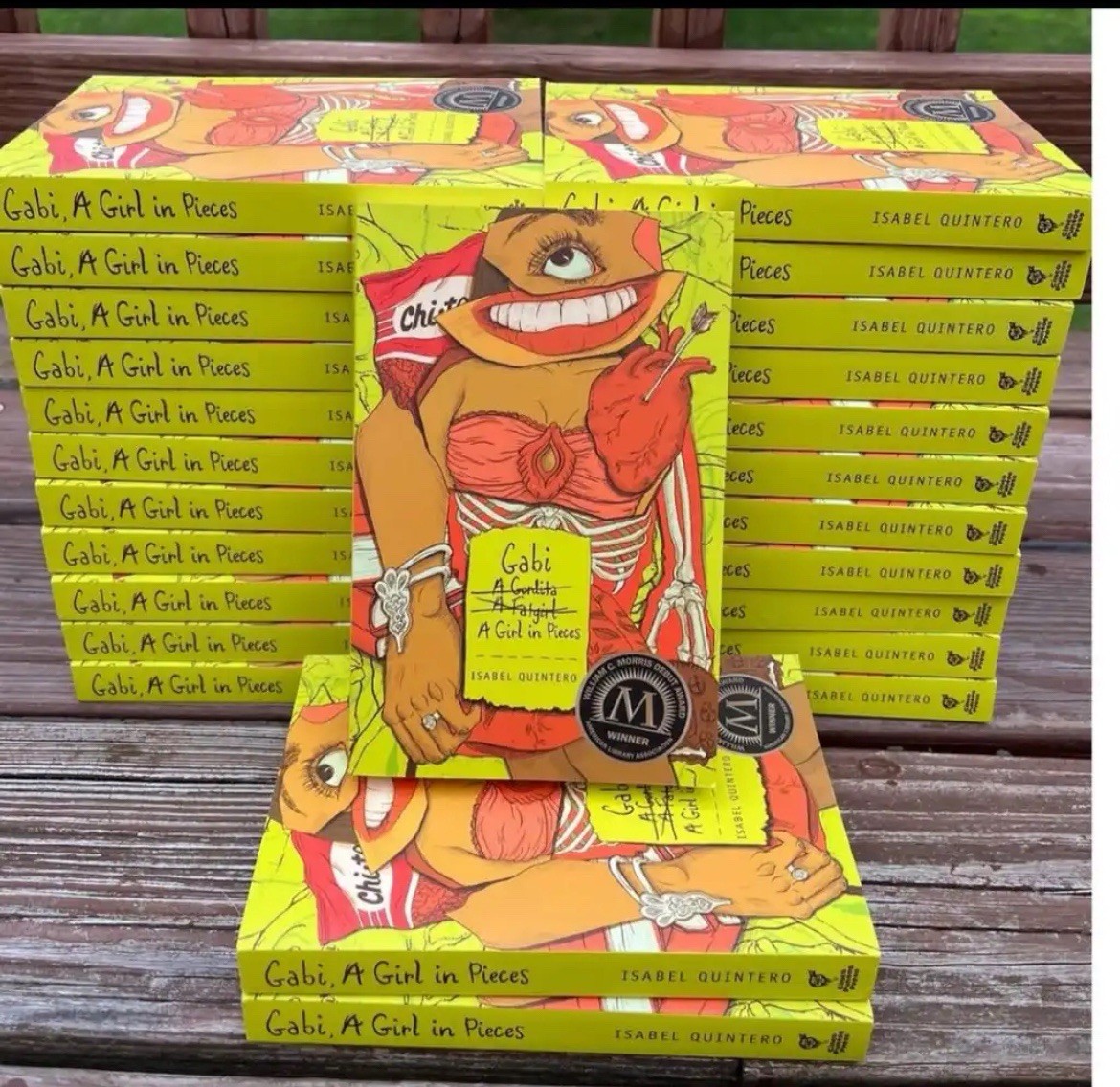 25 Young Adult Teen books Gabi Girl in Pieces Isabel Quintero Latina Banned Book
