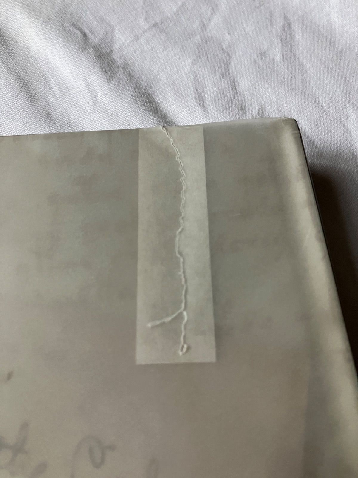 Voynich Manuscript Facsimile 1912 Yale Univ Press 31x24cm Used